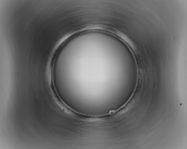 X0000115711127200911191244