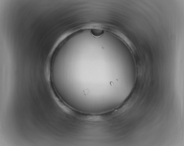 X0000115711131200911191244