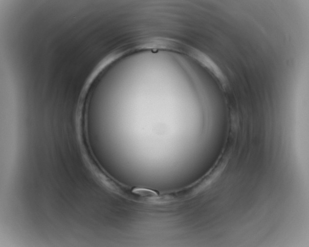 X0000115711138200911191244