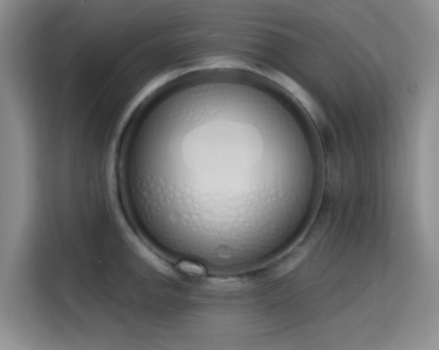 X0000115711142200911191244