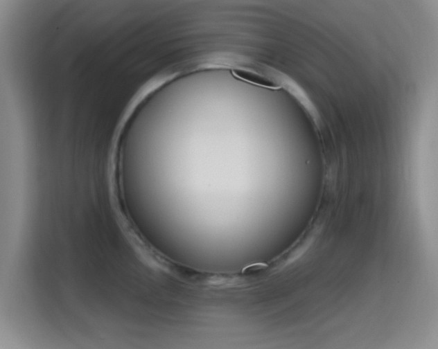 X0000115711146200911191244