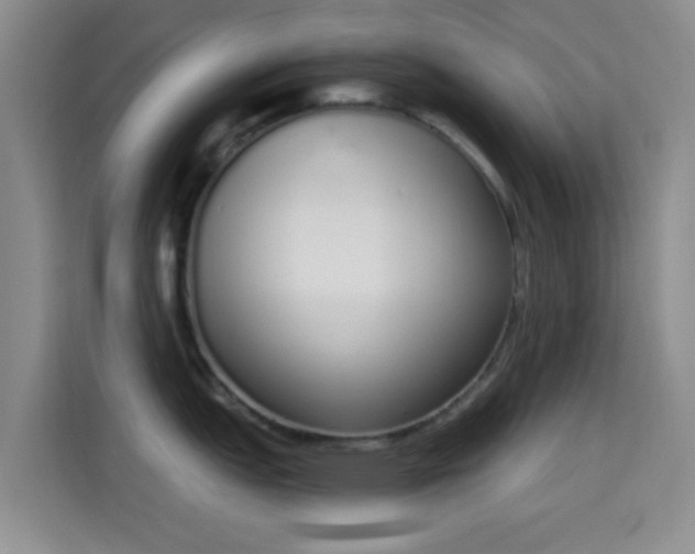 X0000115711151200911191244