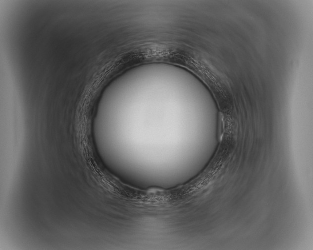 X0000115711153200911191244