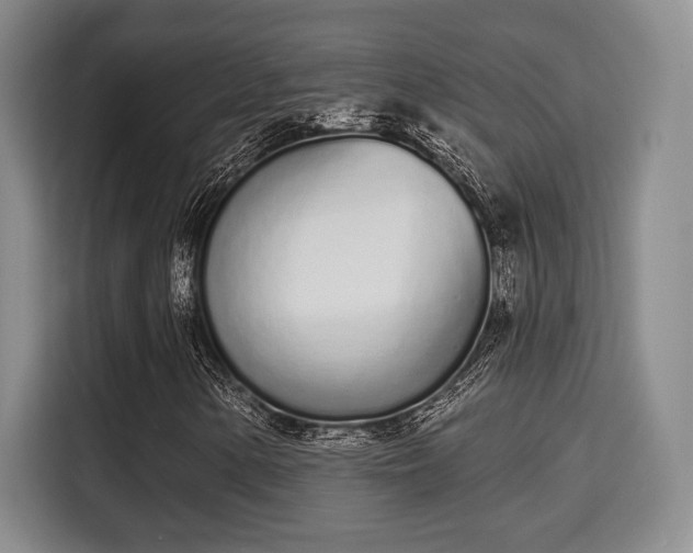 X0000115711154200911191244