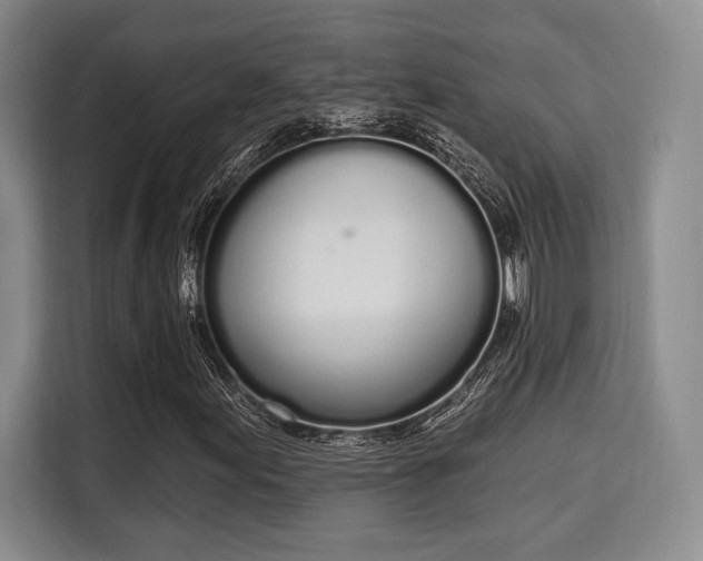 X0000115711155200911191244