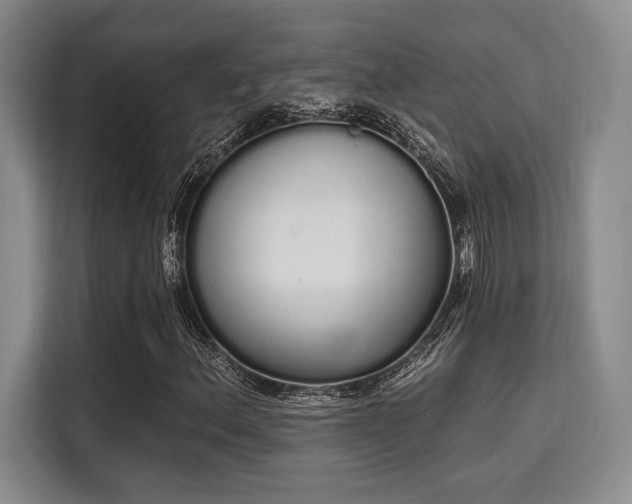 X0000115711156200911191244