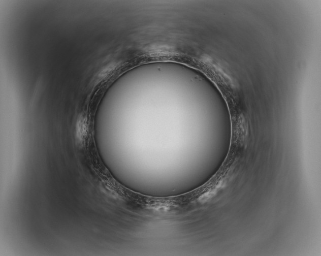 X0000115711157200911191244