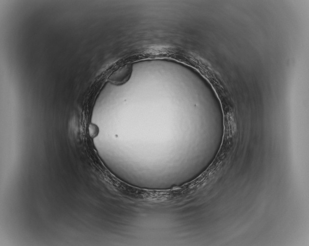 X0000115711158200911191244