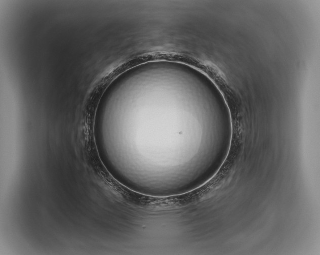 X0000115711159200911191244