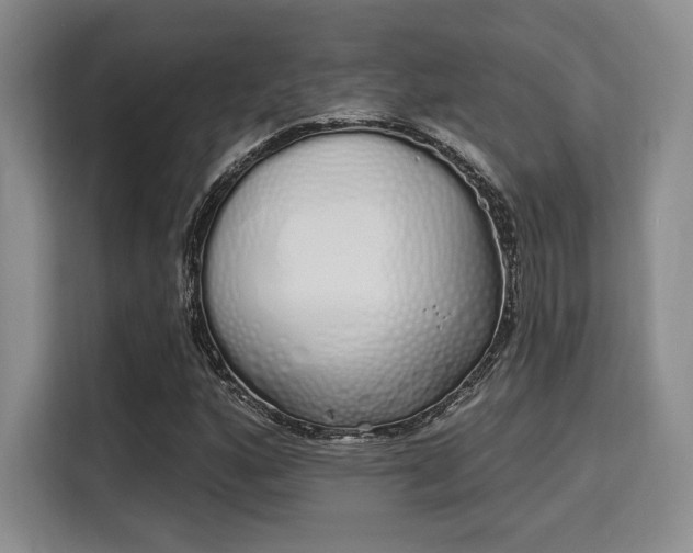 X0000115711160200911191244