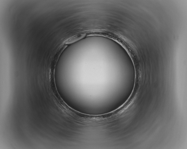 X0000115711161200911191243