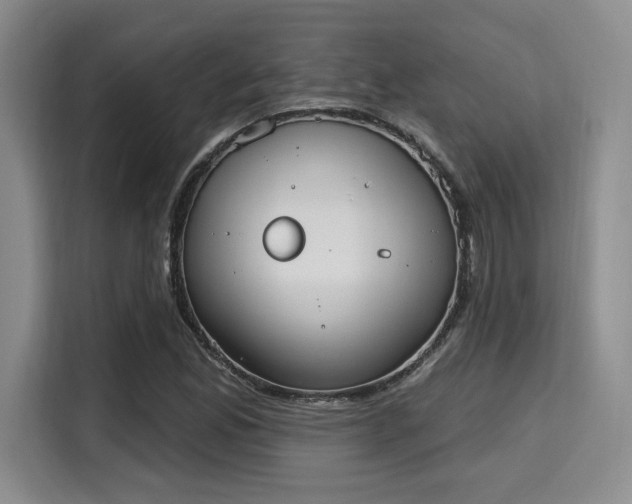 X0000115711165200911191243