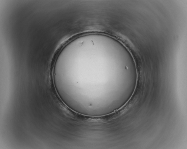 X0000115711168200911191243