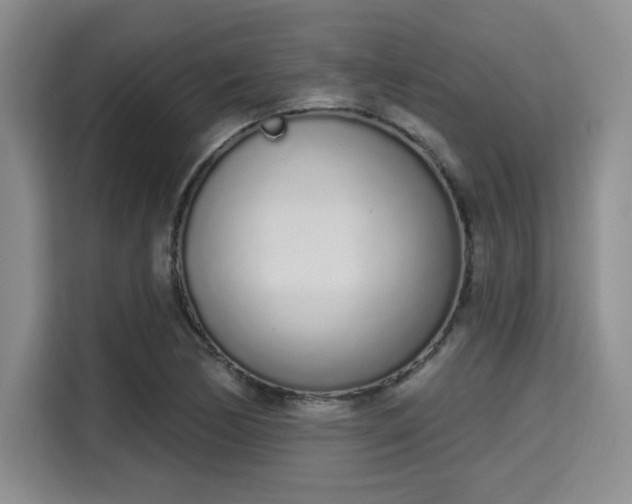 X0000115711170200911191243