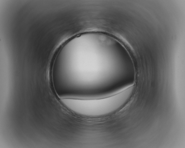 X0000115711173200911191243