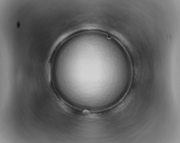 X0000115711175200911191243