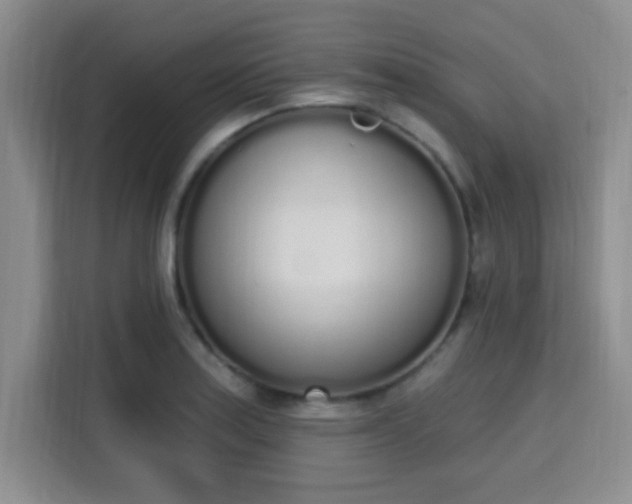 X0000115711179200911191243