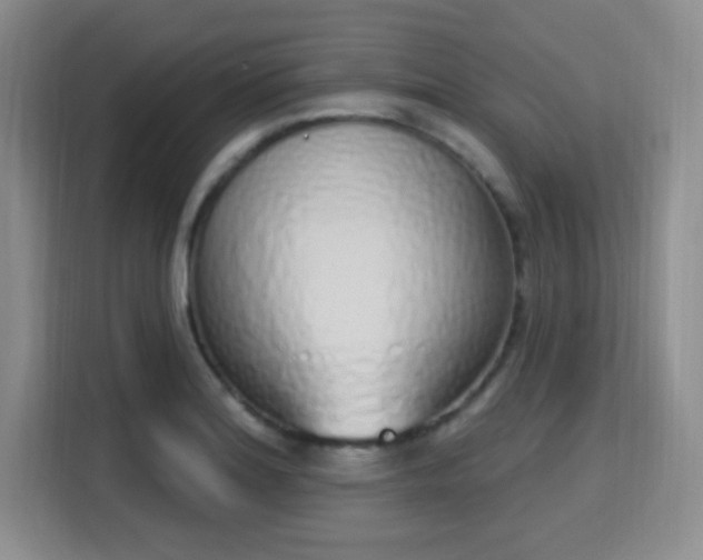 X0000115711180200911191243