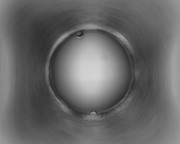 X0000115711183200911191243