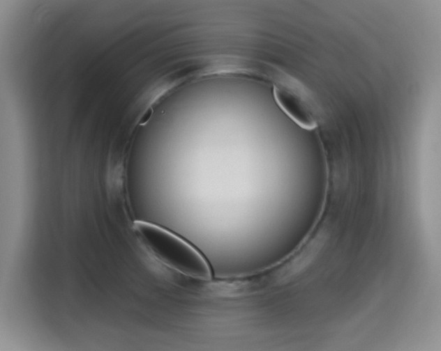 X0000115711185200911191243