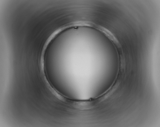 X0000115711188200911191243