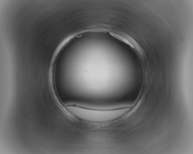 X0000115711196200911191243