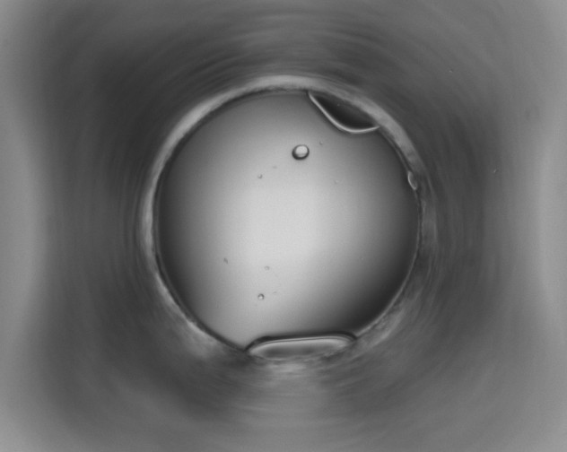 X0000115711199200911191243