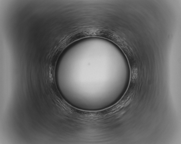 X0000115711202200911191242