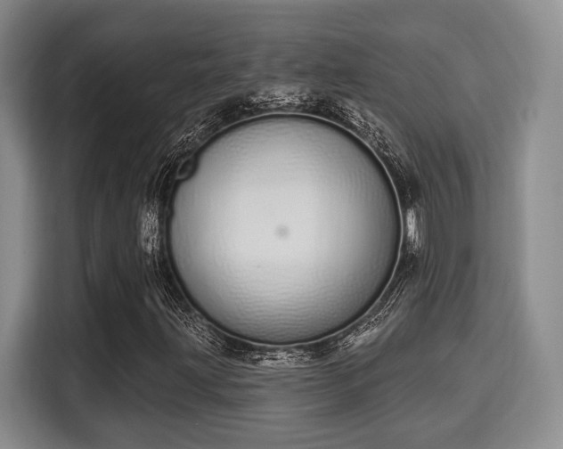 X0000115711203200911191242