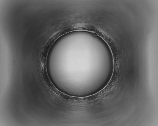 X0000115711206200911191242