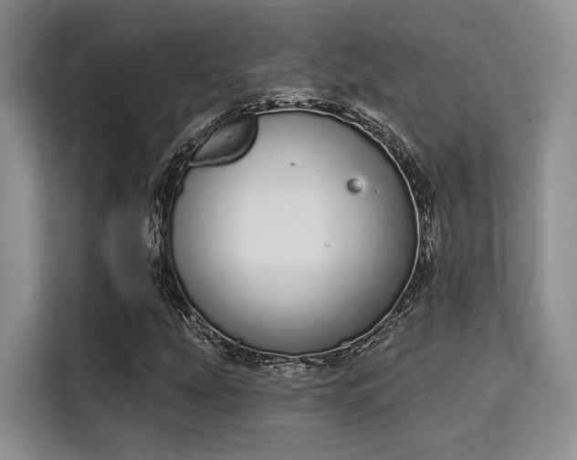 X0000115711207200911191242