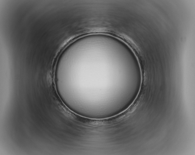 X0000115711212200911191243