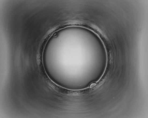 X0000115711213200911191243