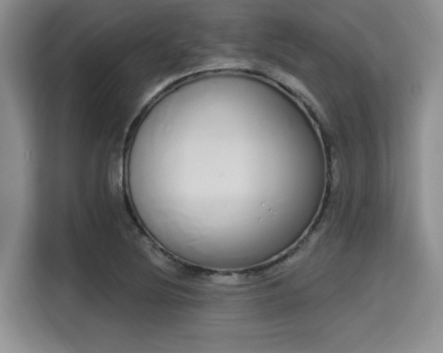 X0000115711220200911191243