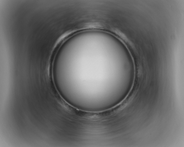 X0000115711222200911191243