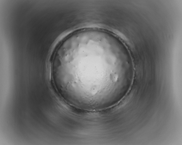 X0000115711223200911191243