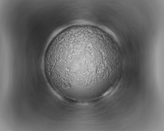 X0000115711231200911191243