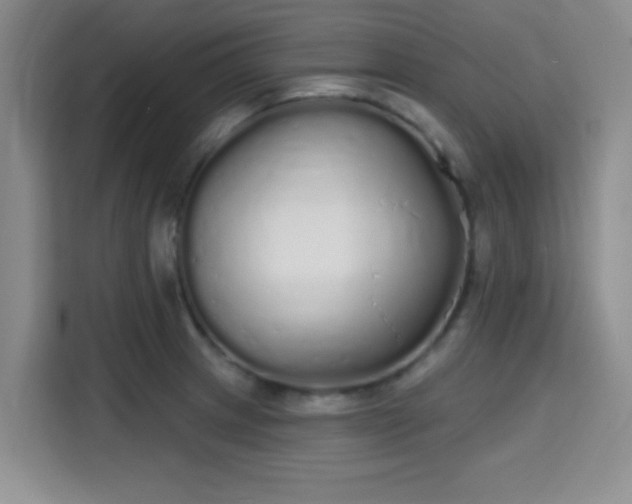 X0000115711233200911191243