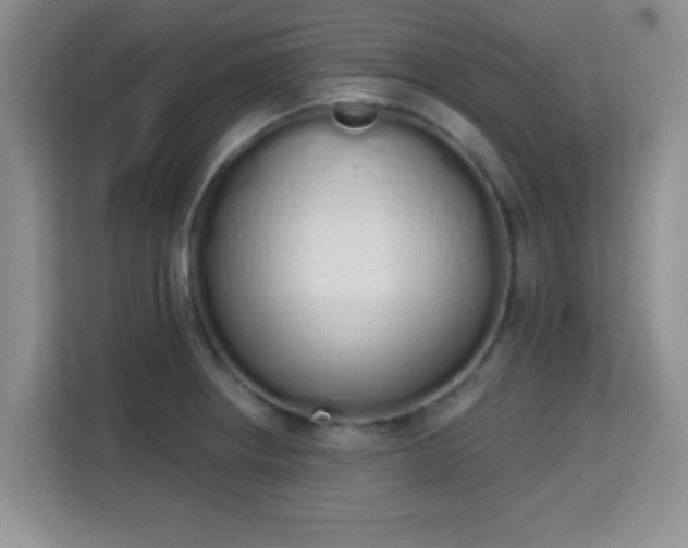 X0000115711234200911191243