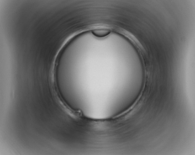 X0000115711236200911191243