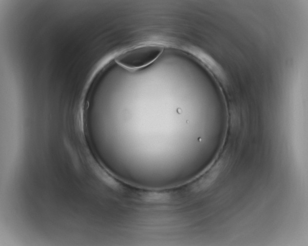 X0000115711238200911191243