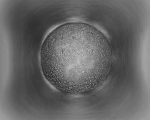 X0000115711239200911191243