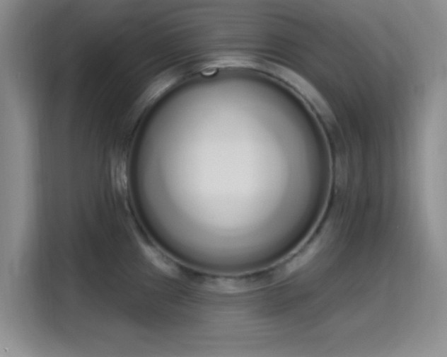 X0000115711241200911191243