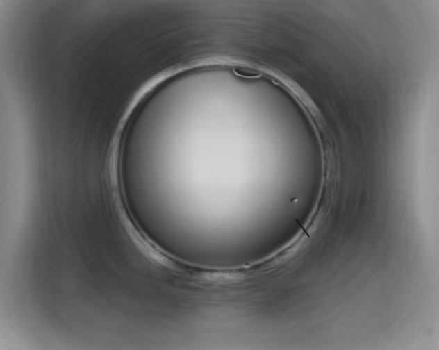 X0000115711246200911191243