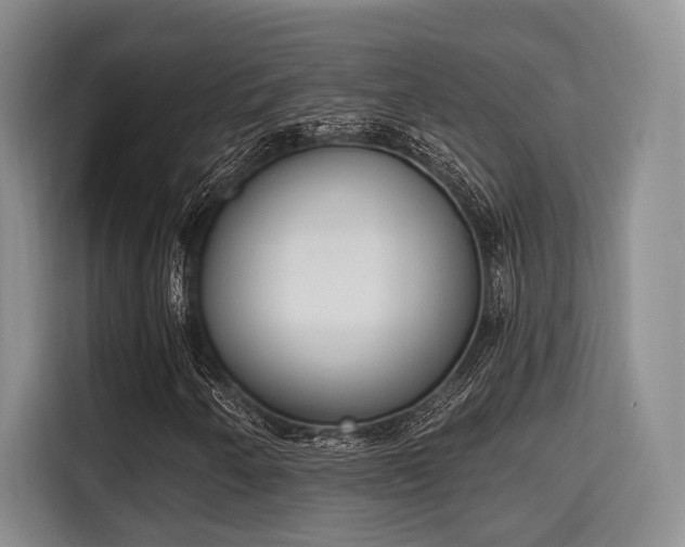 X0000115711250200911191242