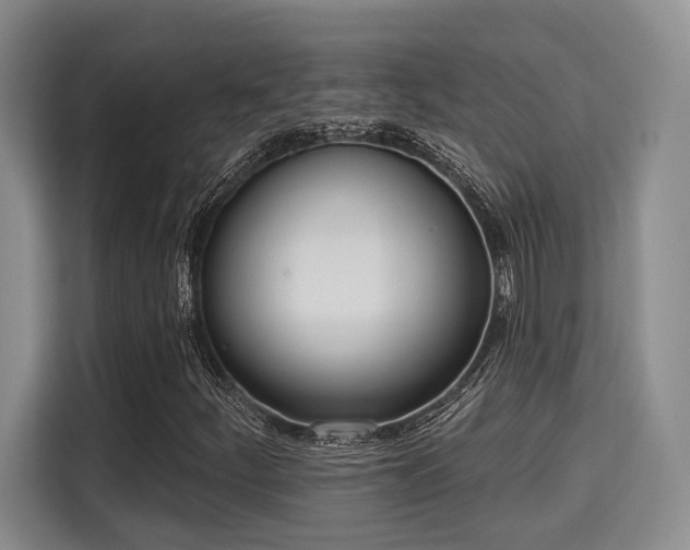 X0000115711252200911191242