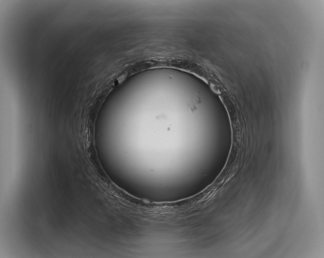 X0000115711253200911191242