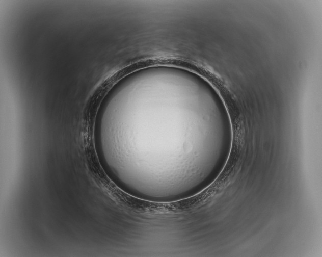 X0000115711255200911191242