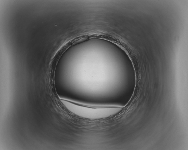 X0000115711256200911191242