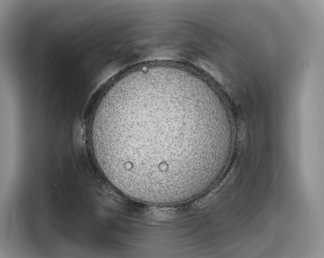 X0000115711258200911191242